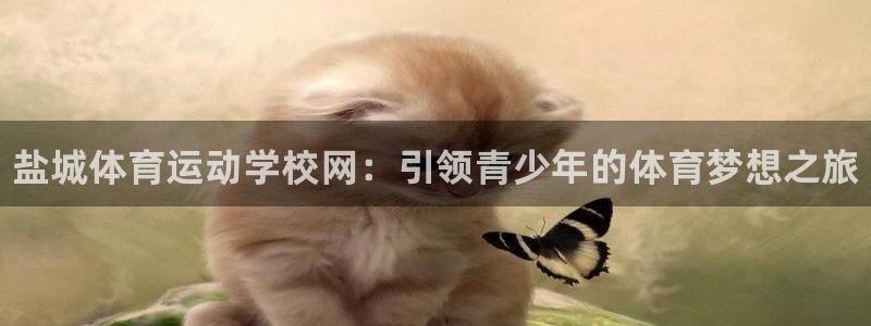 JJB竞技宝官方集团官网：盐城体育运动学校网：引领青