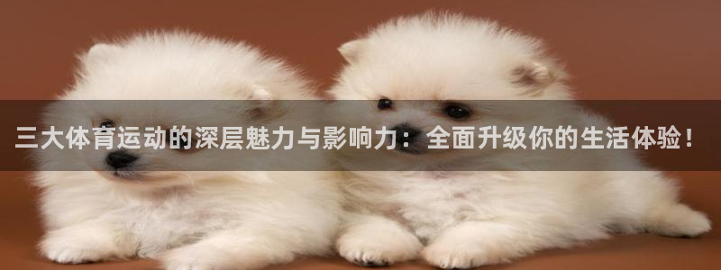JJB竞技宝官网下载联系电话：三大体育运动的深层魅力