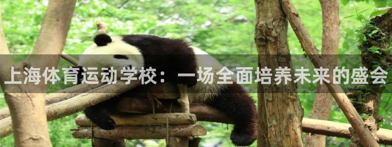 JJB竞技宝官方正版app集团：上海体育运动学校：一