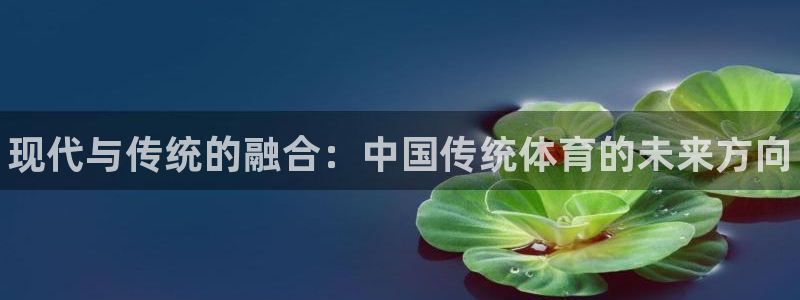 JJB竞技宝官网下载平台是正规平台吗：现代与传统的融