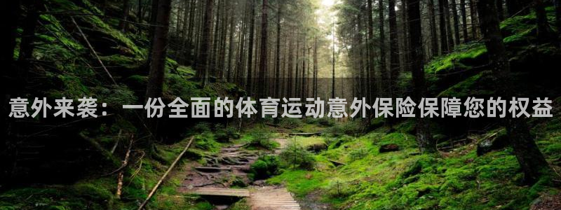 JJB竞技宝官网下载招商：意外来袭：一份全面的体育运