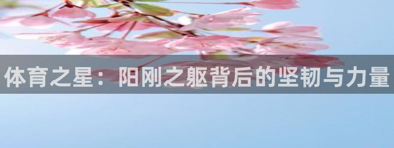 JJB竞技宝官方正版app娱乐：体育之星：阳刚之躯背