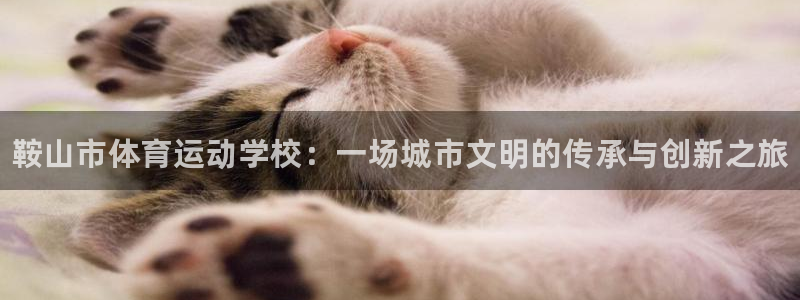 JJB竞技宝官方正版app神州：鞍山市体育运动学校：一场城市