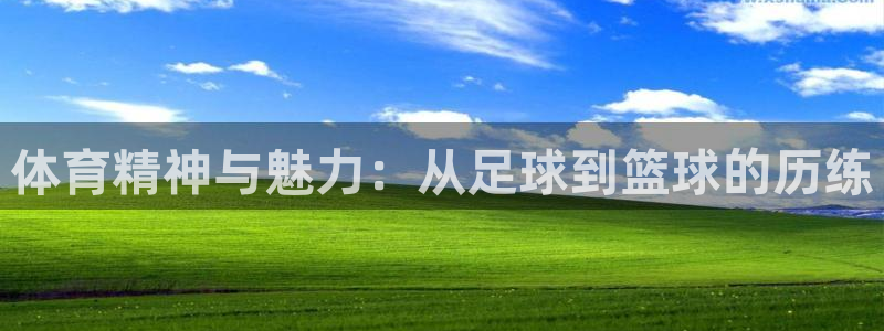 JJB竞技宝官方正版app集团