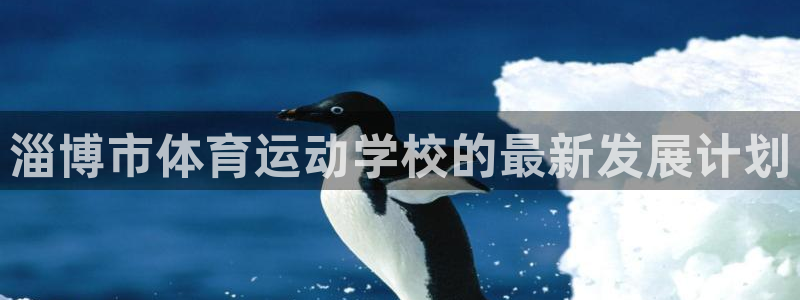 JJB竞技宝官方正版app娱乐是那个系列的台子：淄博市体育运