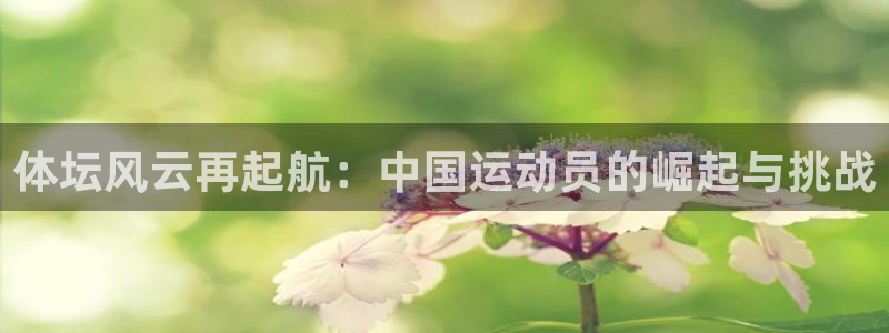 JJB竞技宝官方正版app娱乐首页官网下载：体坛风云再起航：
