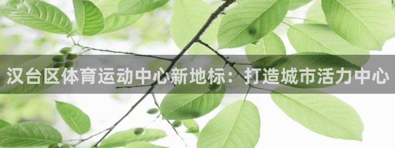 JJB竞技宝官网下载招商电话号码是多少啊