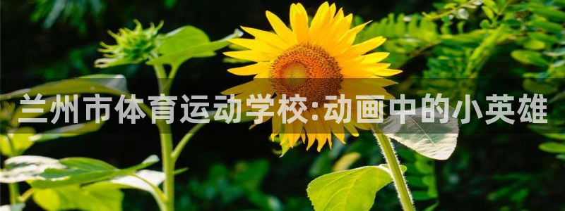 JJB竞技宝官方正版app娱乐下载
