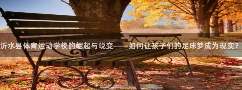 JJB竞技宝官网下载软件：沂水县体育运动学校的崛起与蜕变——