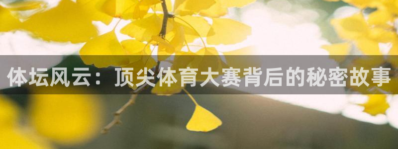 JJB竞技宝官方正版app娱乐平台：体坛风云：顶尖体