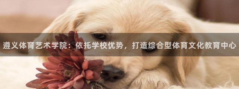 JJB竞技宝官网下载招商电话地址