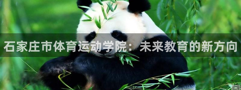 JJB竞技宝官网下载平台是正规平台吗安全吗：石家庄市体育运动