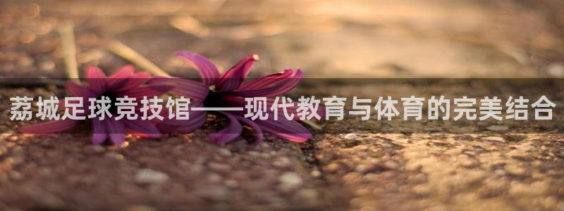 JJB竞技宝官网下载平台注册要钱吗：荔城足球竞技馆—