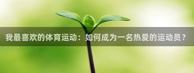 JJB竞技宝官网下载：我最喜欢的体育运动：如何成为一