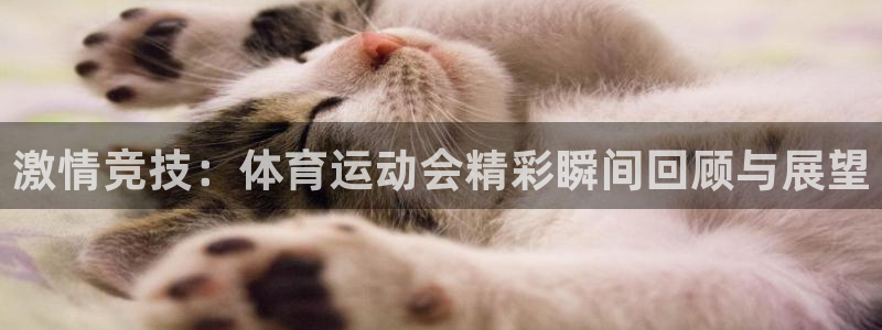 JJB竞技宝官方正版app娱乐网站