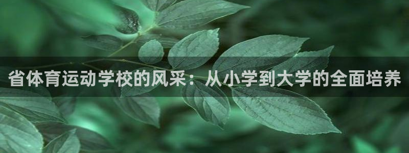 JJB竞技宝官方正版app娱乐下载:省体育运动学校的风采:从