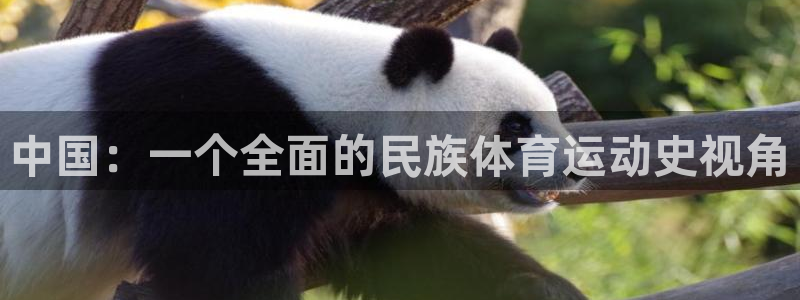 JJB竞技宝官网下载招商电话是多少：中国：一个全面的民族体育