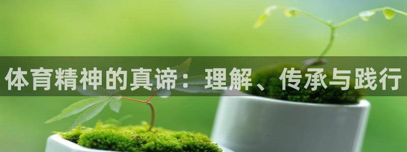 JJB竞技宝官方正版app集团logo：体育精神的真谛：理解