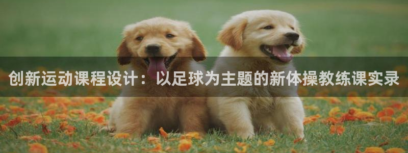 竞技宝app官方安卓版下载：创新运动