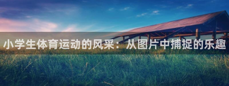 竞技宝官网入口下载：小学生体育运动的