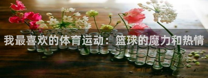 竞技宝咋了：我最喜欢的体育运动：篮球
