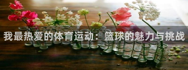 JJB竞技宝app官网：我最热爱的体