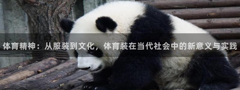 竞技宝门户网站怎么进：体育精神：从服