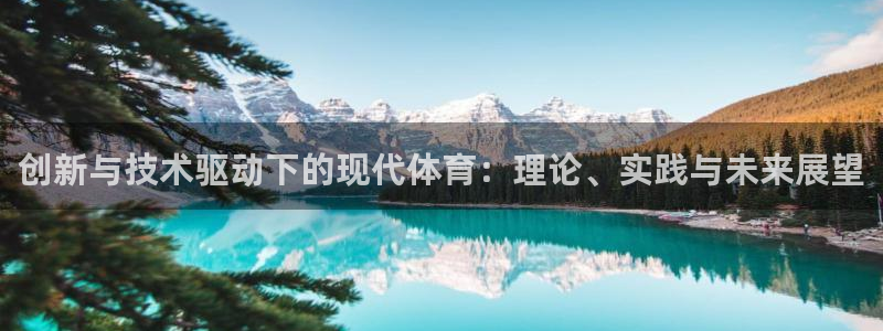 竞技宝平台怎么样可靠吗：创新与技术驱