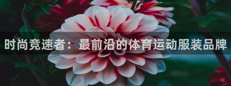 竞技宝违法：时尚竞速者：最前沿的体育