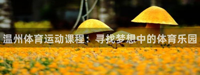 JJB竞技宝app官网：温州体育运动课程：寻找梦想中的体育乐