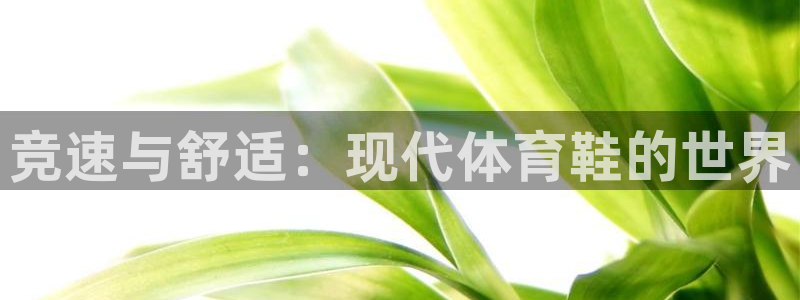  竞技宝app最新下载安装：竞速与舒适：现代体育鞋的世界