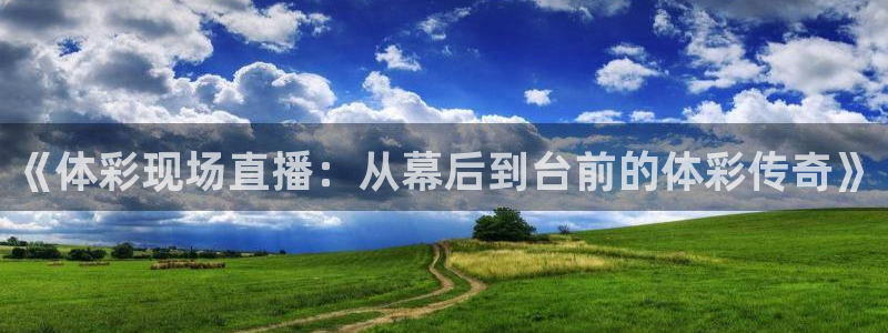 五星体育频道节目单