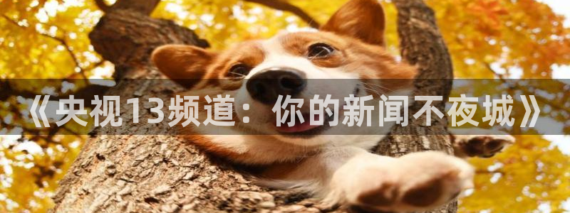 上海五星体育频道手机在线直播观看：《央视13频道：你的新闻不夜城》