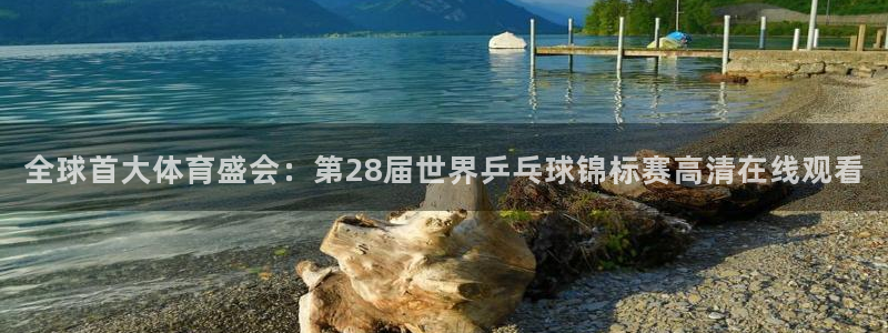 上海五星体育三打一