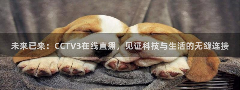 五星体育飞哥：未来已来：CCTV3在线直播，见证科技与生活的无缝连接