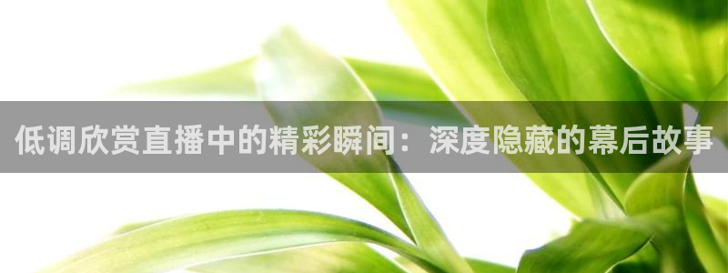 今天上海五星体育电视直播：低调欣赏直播中的精彩瞬间：深度隐藏的幕后故事