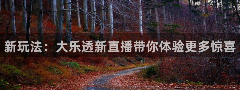 上海五星体育节目表：新玩法：大乐透新直播带你体验更多惊喜