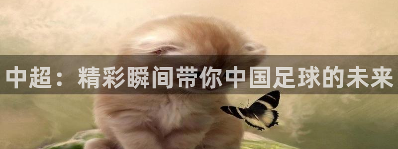 五星体育三打一高清直播：中超：精彩瞬间带你中国足球的未来