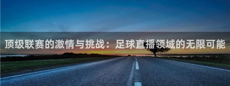 五星体育足球解说：顶级联赛的激情与挑战：足球直播领域的无限可能