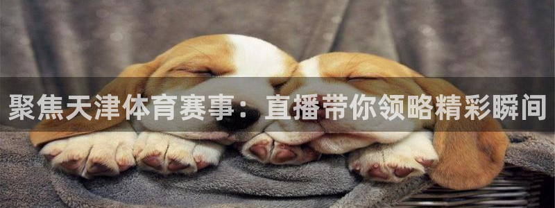 五星体育 电视盒子：聚焦天津体育赛事：直播带你领略精彩瞬间
