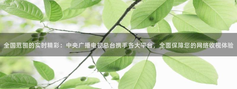 今日五星体育电视节目表：全国范围的实时精彩：中央广播电视总台携手各大平台，全面保障您的网络收视体验