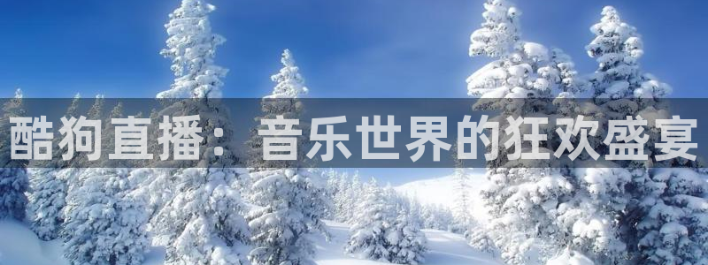 五星体育今天节目表 电视猫：酷狗直播：音乐世界的狂欢盛宴