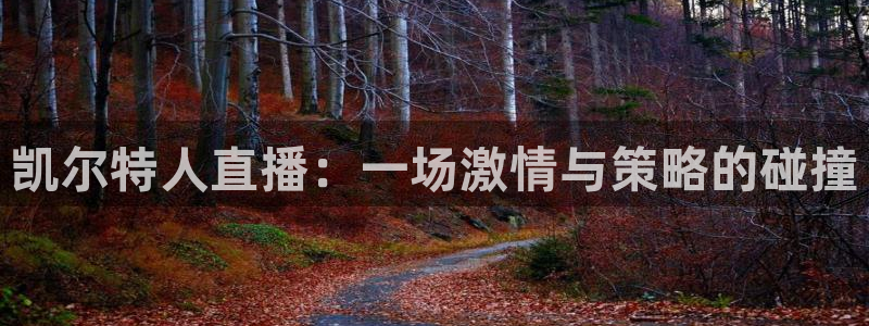 五星体育nba节目表：凯尔特人直播：一场激情与策略的碰撞